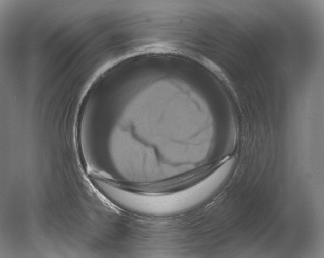 X0000080691334200701051050