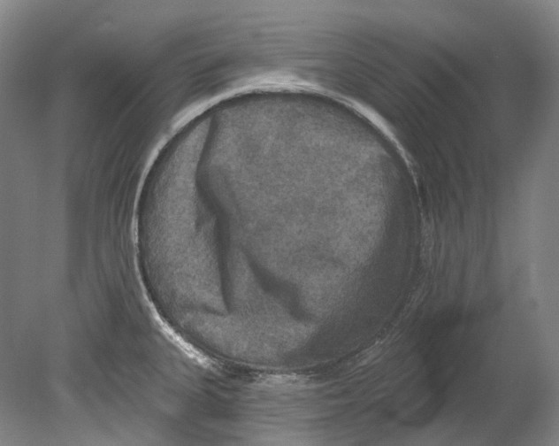 X0000080691335200701051050