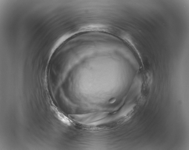 X0000080691336200701051050