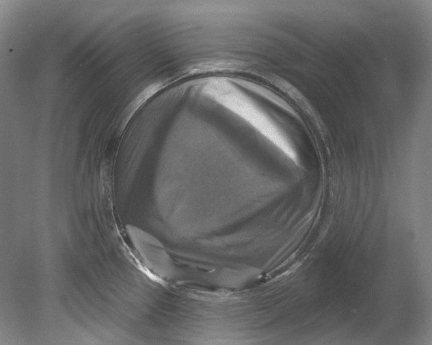 X0000080691337200701051050