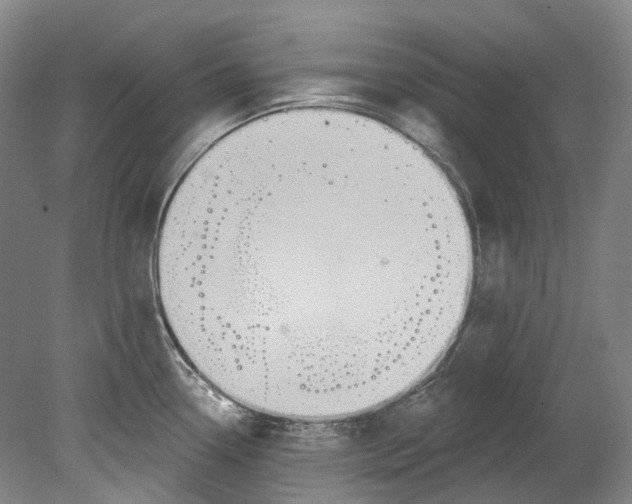 X0000080691338200701051050