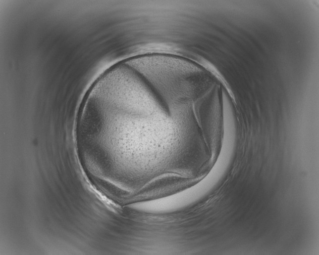 X0000080691339200701051050