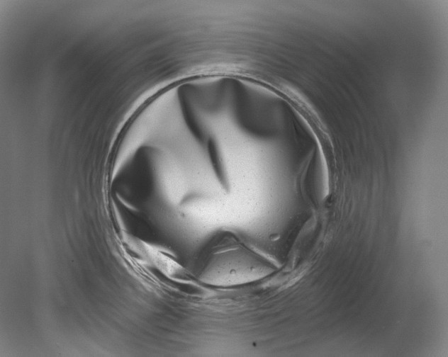 X0000080691340200701051050