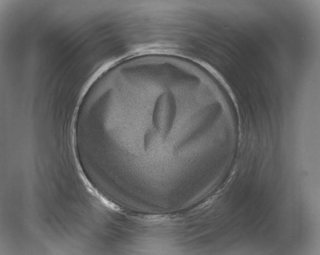 X0000080691341200701051050