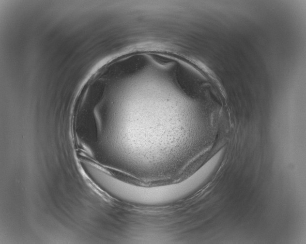 X0000080691342200701051050