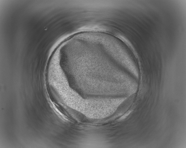 X0000080691344200701051050