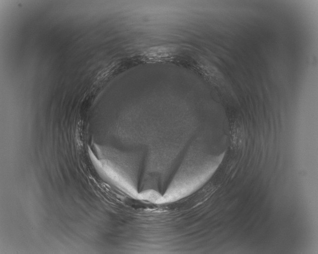 X0000080691346200701051049