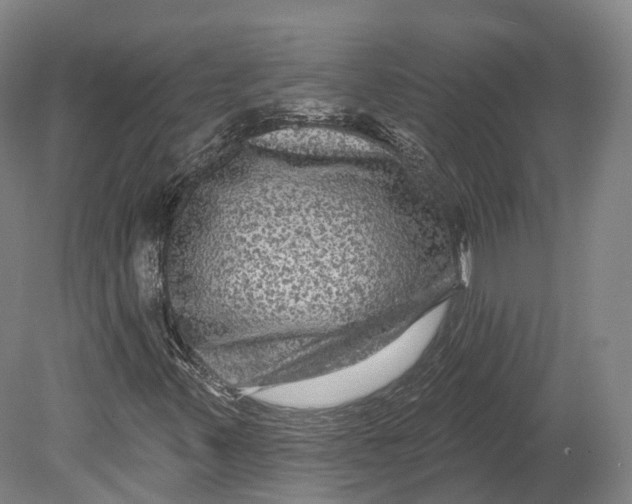 X0000080691347200701051049