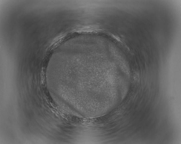 X0000080691350200701051049