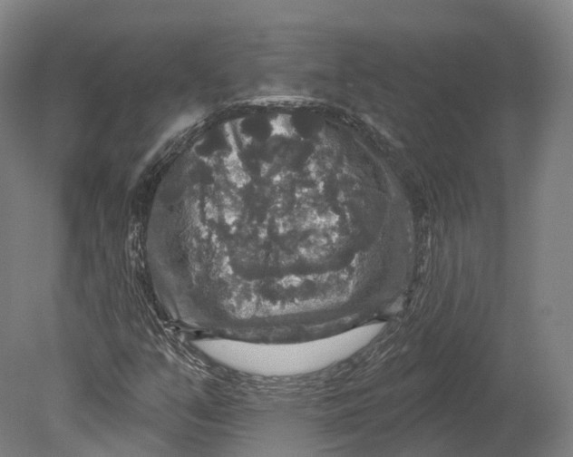 X0000080691351200701051049