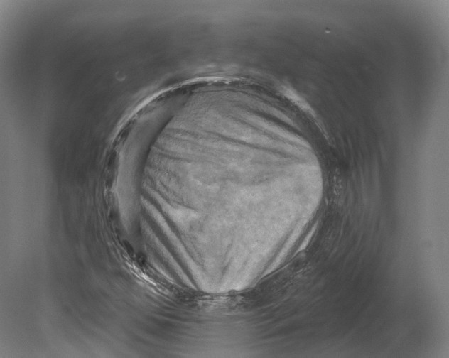 X0000080691352200701051049