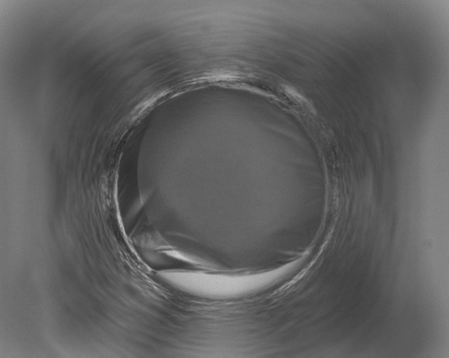 X0000080691353200701051049