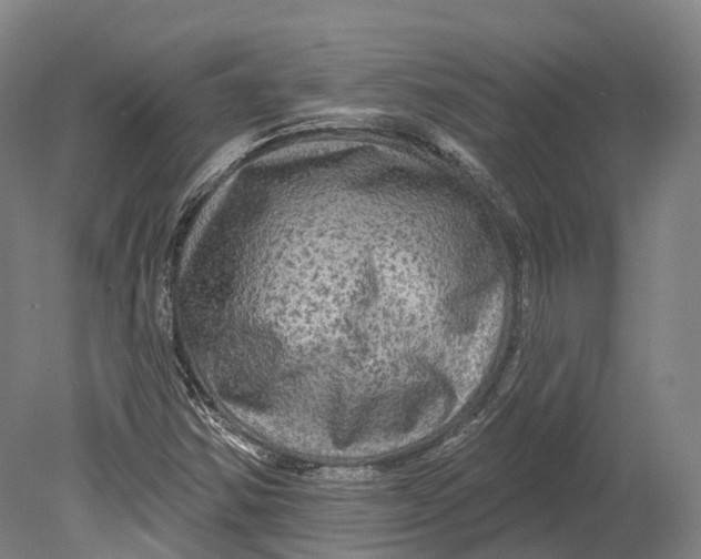 X0000080691354200701051049