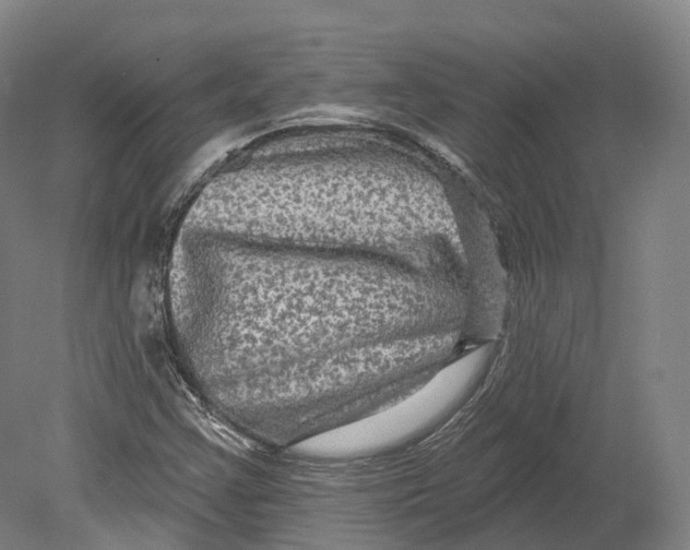 X0000080691355200701051049