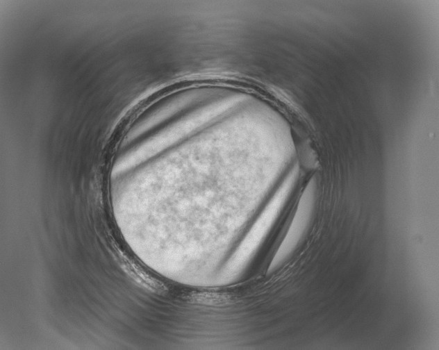 X0000080691356200701051049