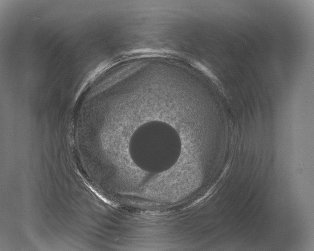 X0000080691357200701051049