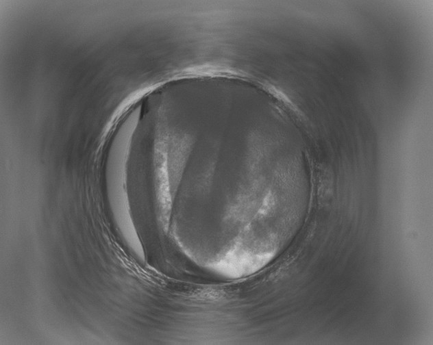 X0000080691358200701051049