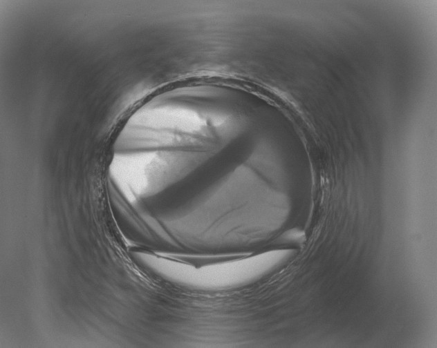 X0000080691359200701051049