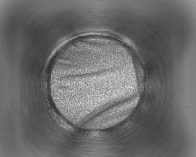 X0000080691360200701051049