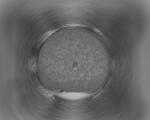 X0000080691361200701051049