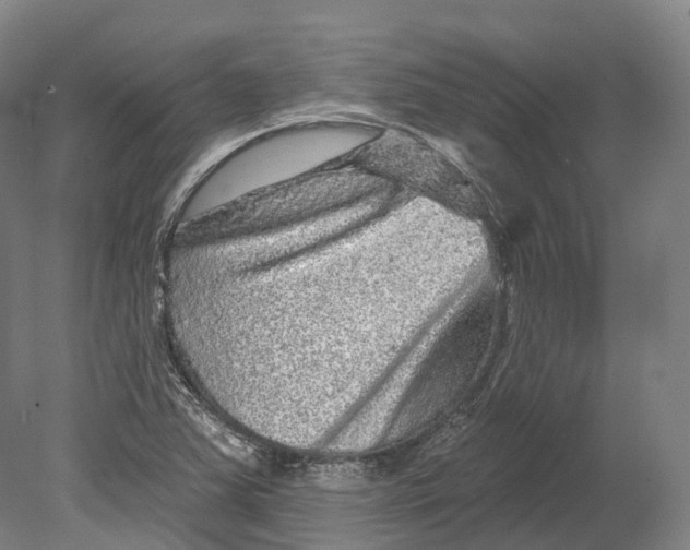 X0000080691363200701051049