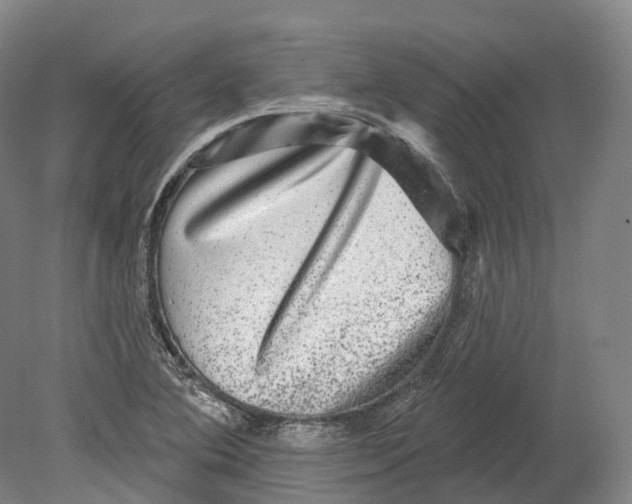 X0000080691364200701051049