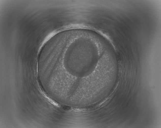 X0000080691365200701051049