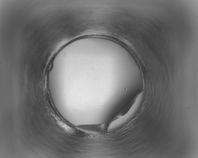 X0000080691366200701051049