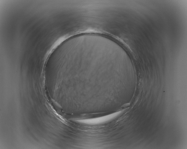 X0000080691367200701051049