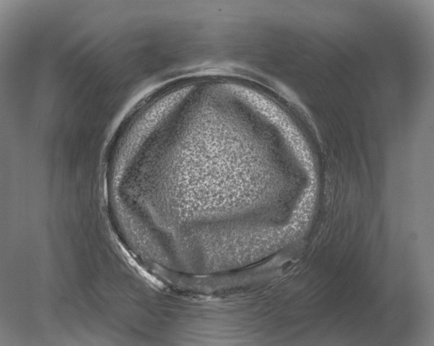 X0000080691368200701051049