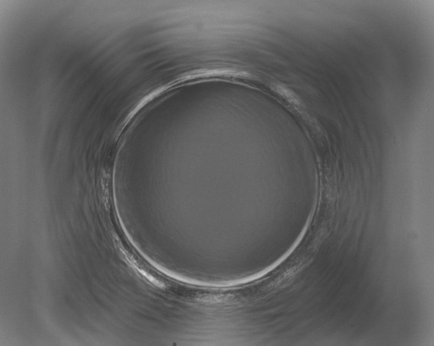 X0000080691369200701051049