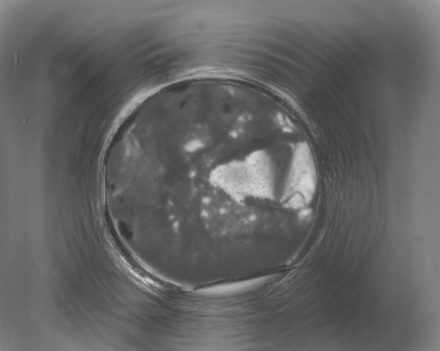 X0000080691371200701051049