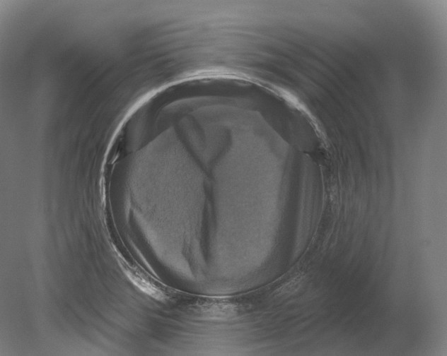 X0000080691372200701051049