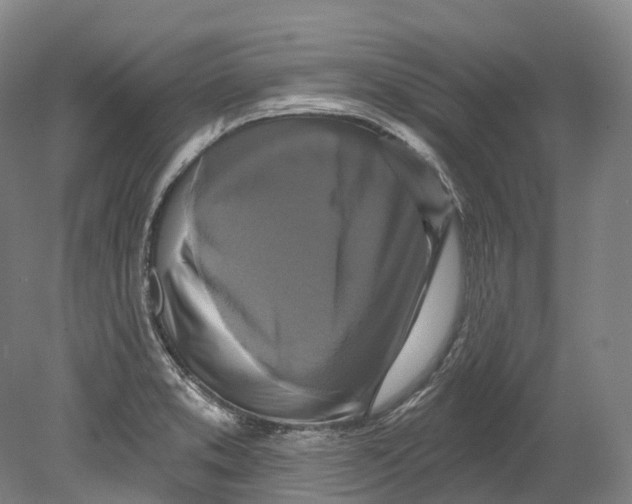 X0000080691373200701051049