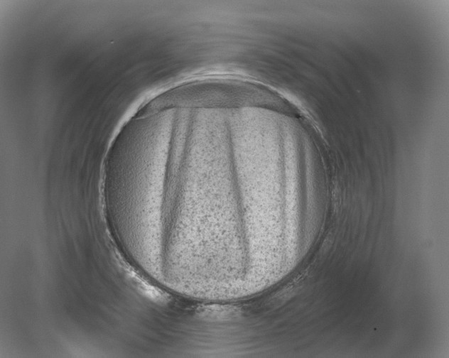 X0000080691374200701051049