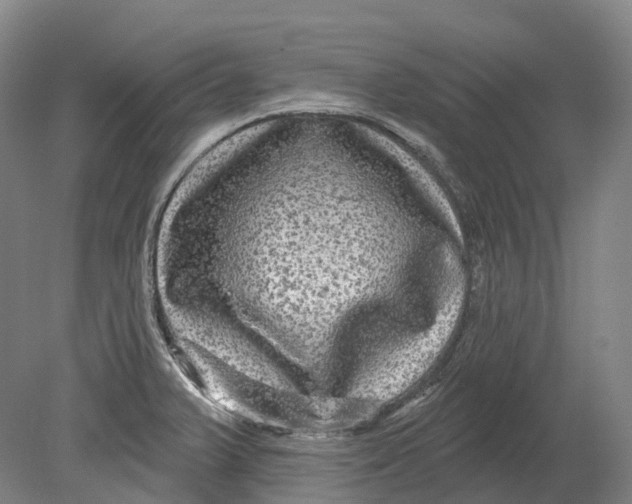 X0000080691375200701051049