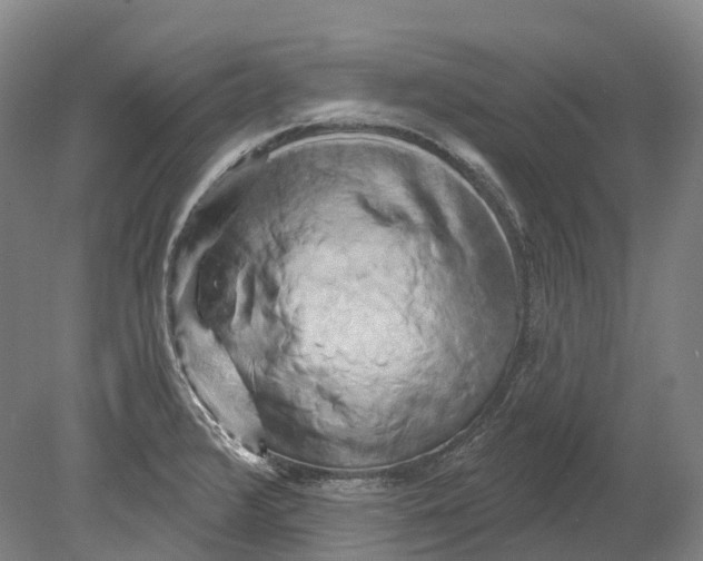 X0000080691376200701051049