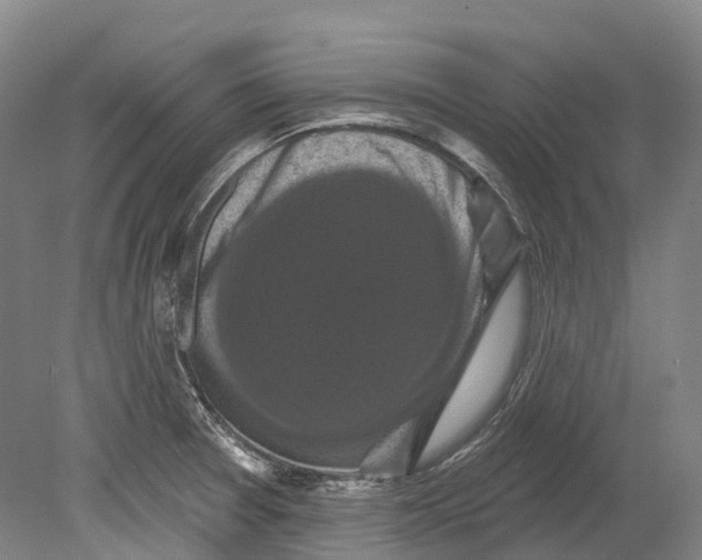 X0000080691377200701051049