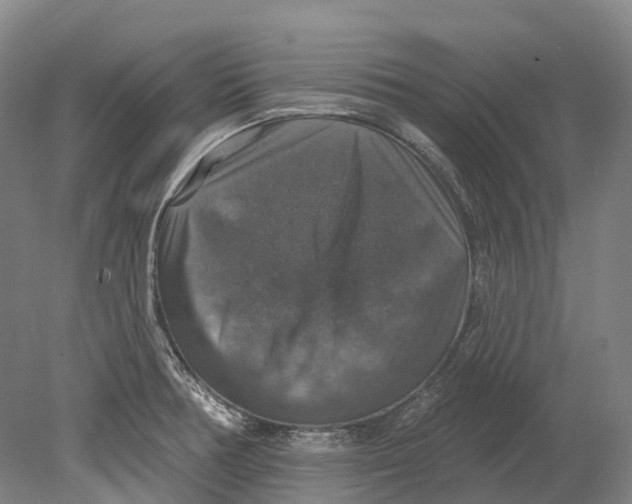 X0000080691378200701051049