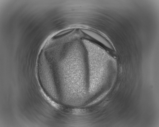 X0000080691379200701051049