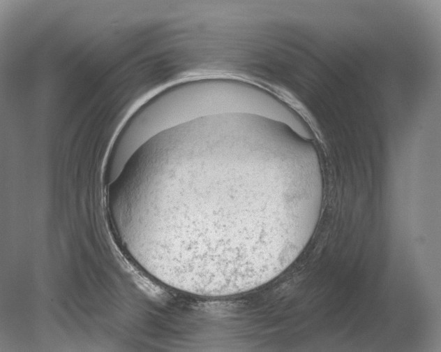 X0000080691380200701051049