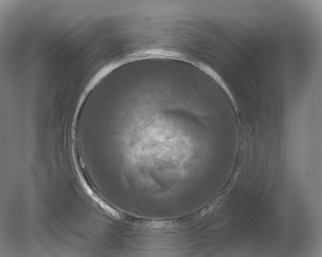 X0000080691381200701051049