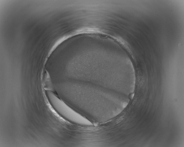 X0000080691382200701051049