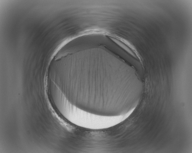 X0000080691383200701051049