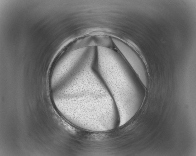 X0000080691384200701051049