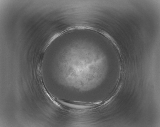 X0000080691385200701051049