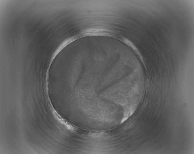 X0000080691386200701051049