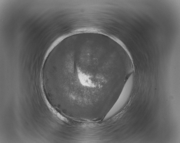 X0000080691389200701051049