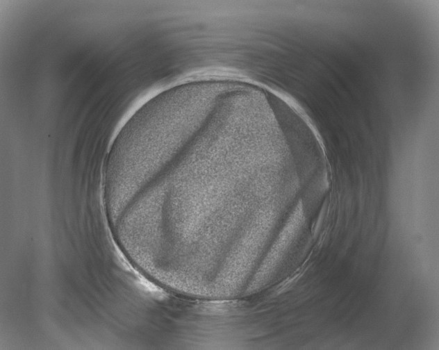 X0000080691390200701051049