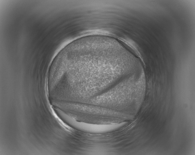 X0000080691391200701051049